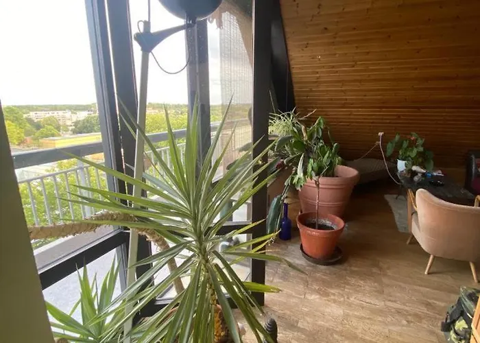 Spacious For Exhibitors & Business Teams